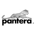 Pantera