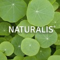 Naturalis